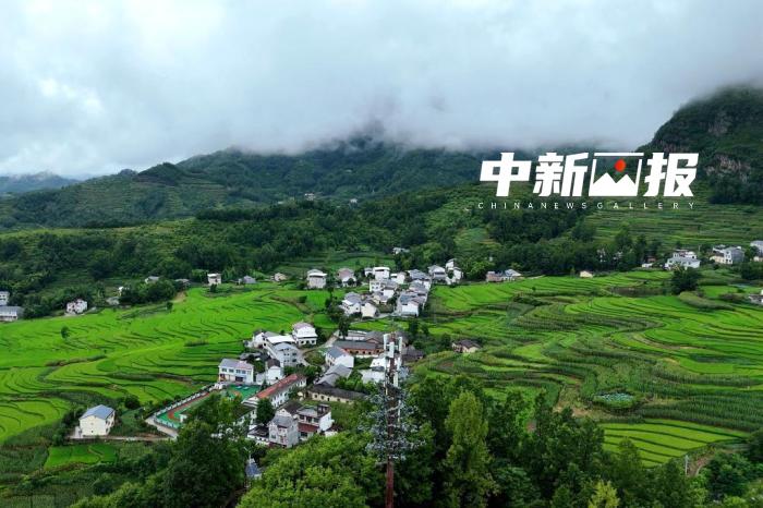 车票处置权属于购票人