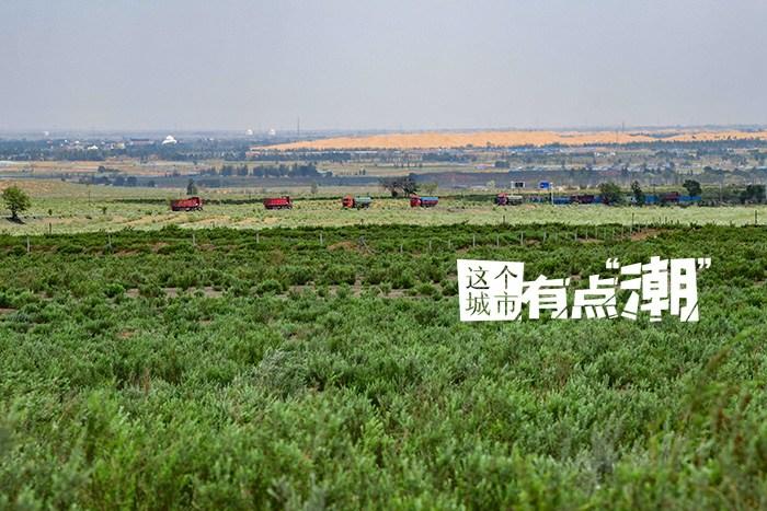 中新网8月25日电 据卡塔尔半岛电视