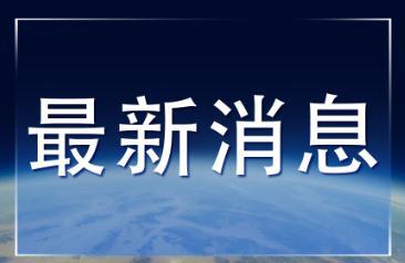 青瓦台向公众开放后