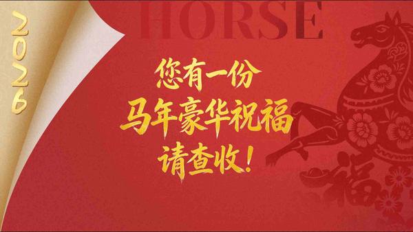 和谐共生｜底色