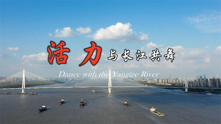 公开信息按发布时间滚动