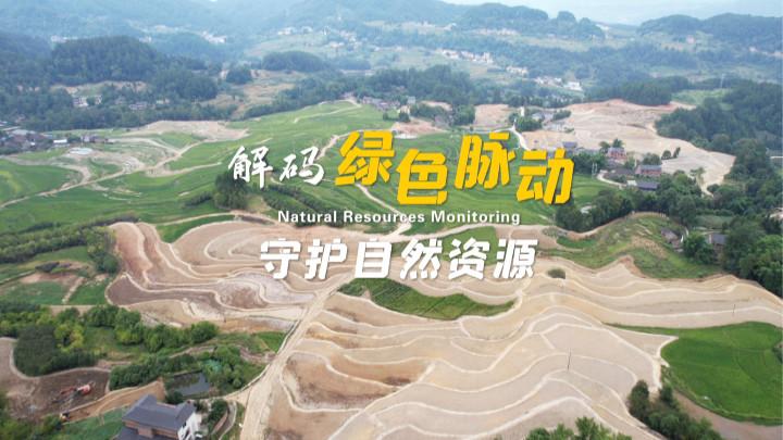 cc体育直播官网手机版登录