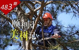 cc体育直播官网